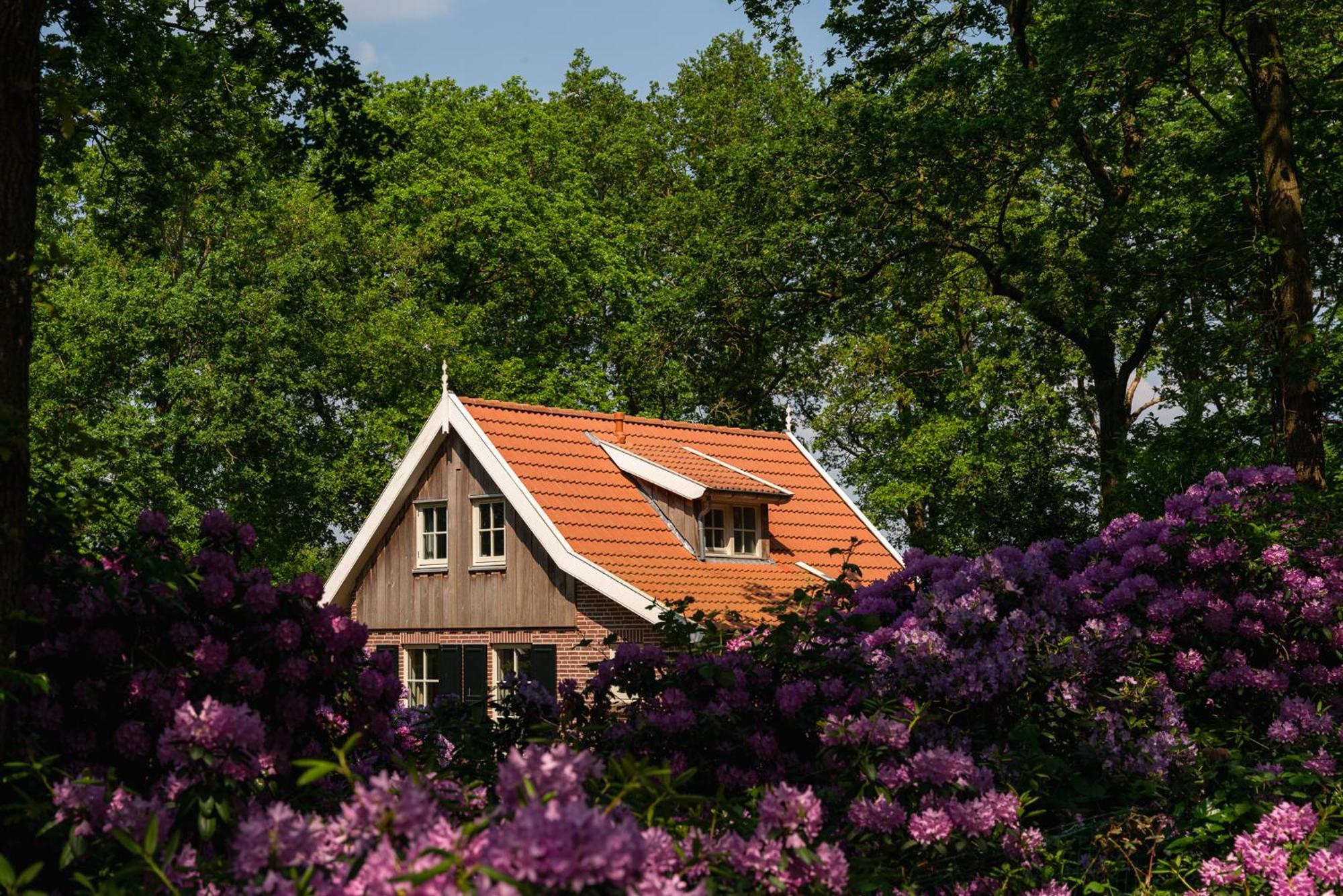 Villa De Bosuil Hoge-Hexel Esterno foto