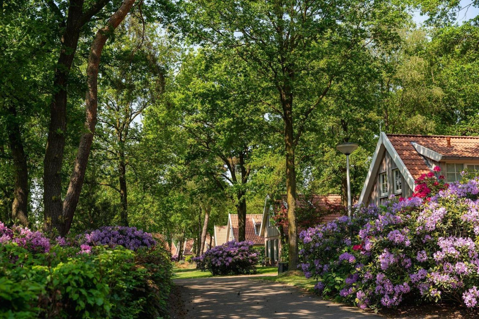 Villa De Bosuil Hoge-Hexel Esterno foto