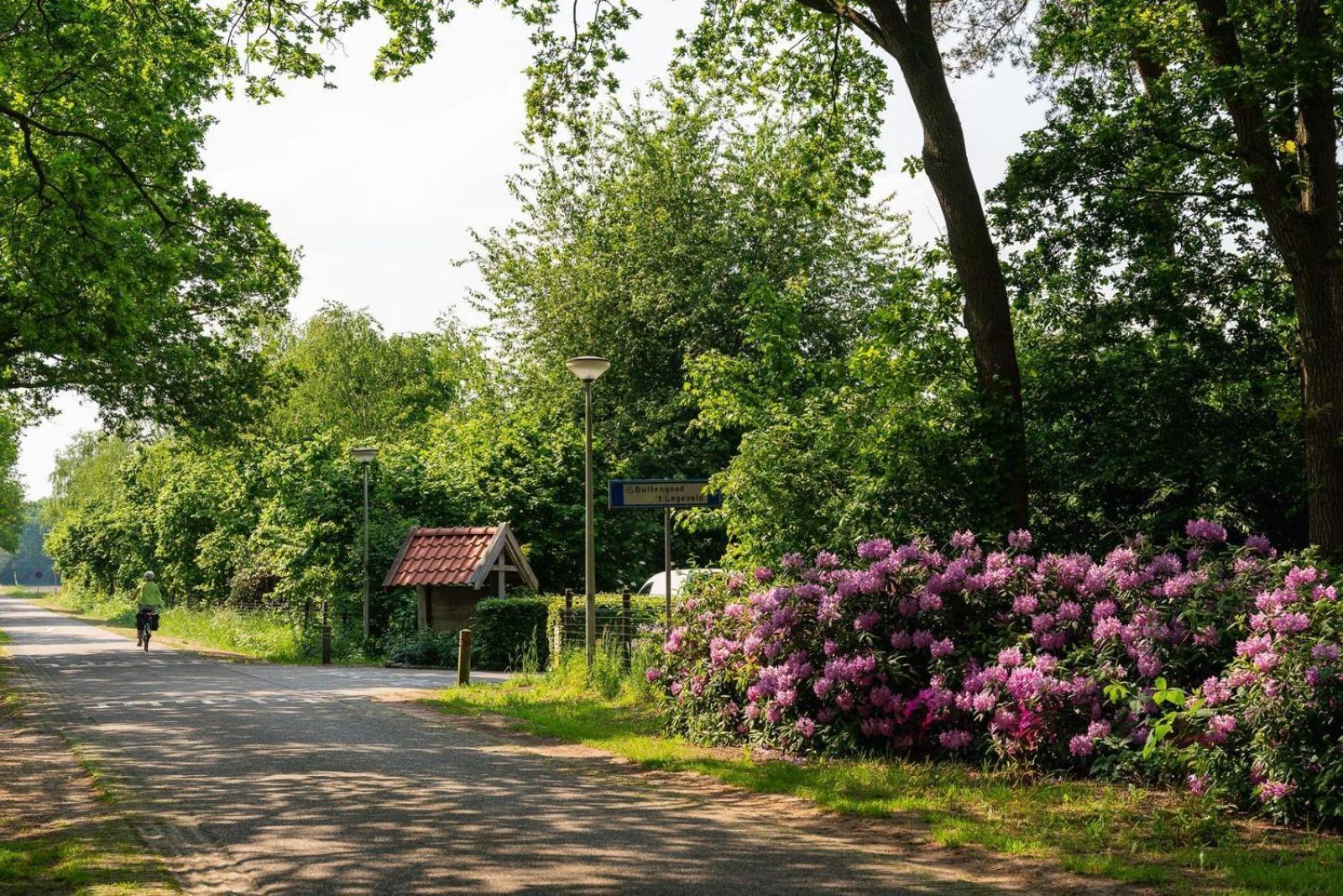 Villa De Bosuil Hoge-Hexel Esterno foto